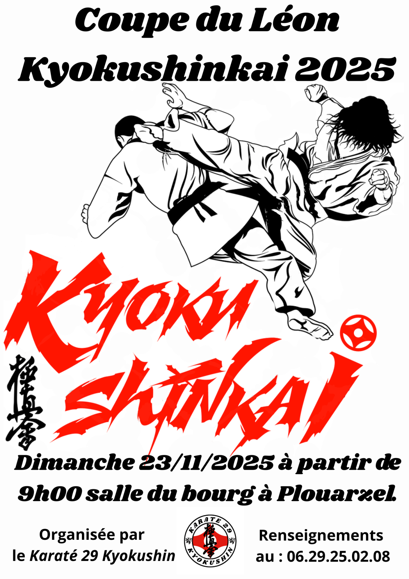 Affiche coupe du leon 1